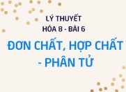 Phân tử là gì? Phân tử khối là gì? Đặc điểm cấu tạo của Đơn chất, Hợp chất - Lý thuyết Hóa 8 bài 6